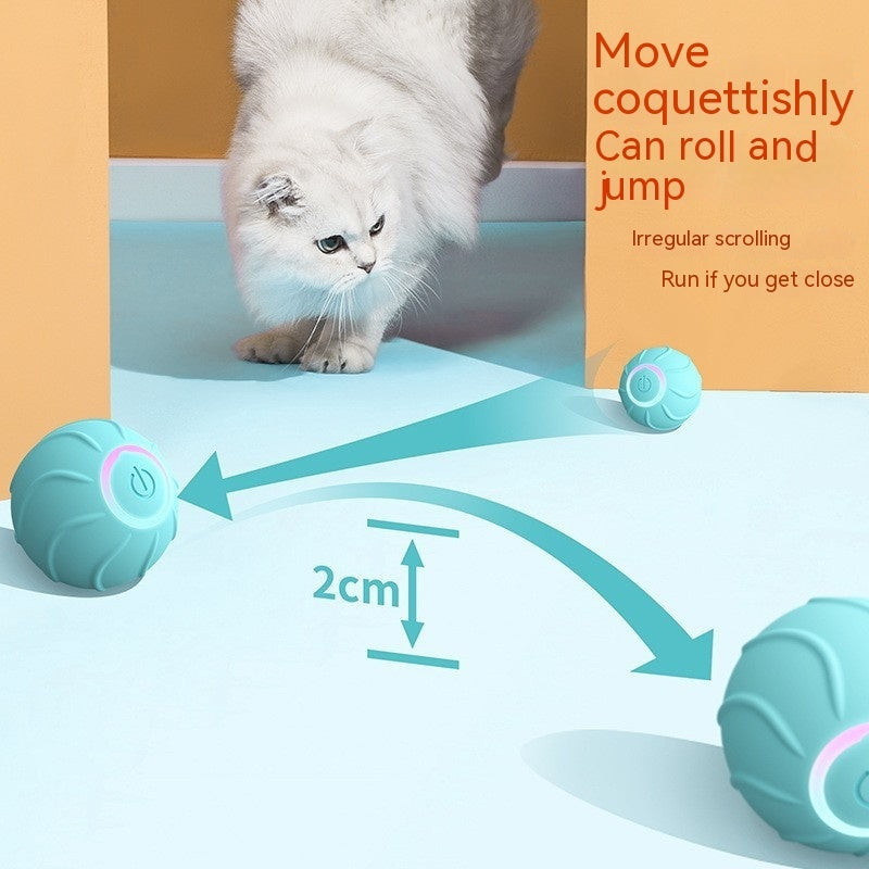 PurrPlay Smart Rolling Cat Ball