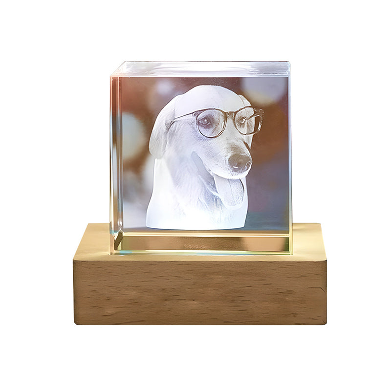 Custom Pet Crystal Lamp – Personalized 3D Photo Keepsake