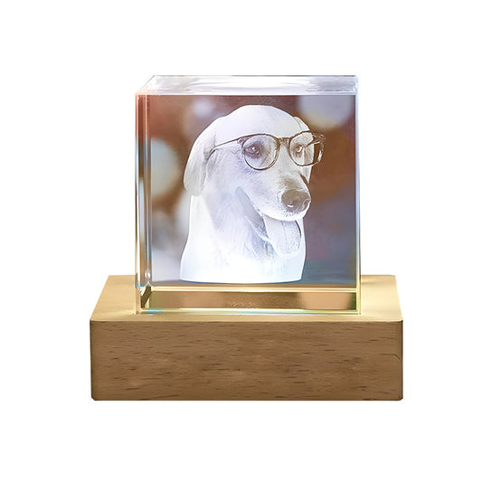 Custom Pet Crystal Lamp – Personalized 3D Photo Keepsake