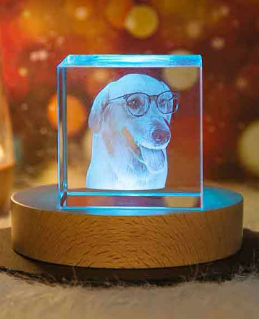 Custom Pet Crystal Lamp – Personalized 3D Photo Keepsake