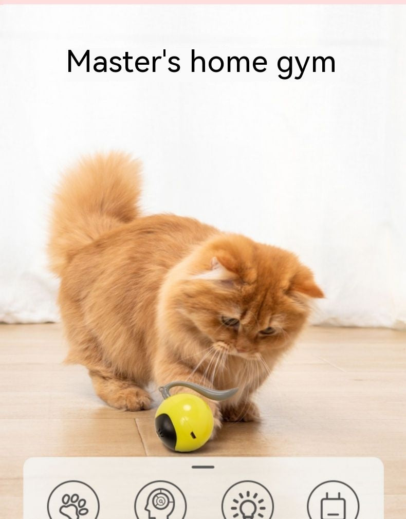 PurrPlay Smart Electric Rolling Cat Ball