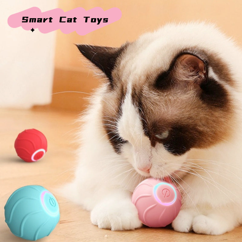 PurrPlay Smart Rolling Cat Ball