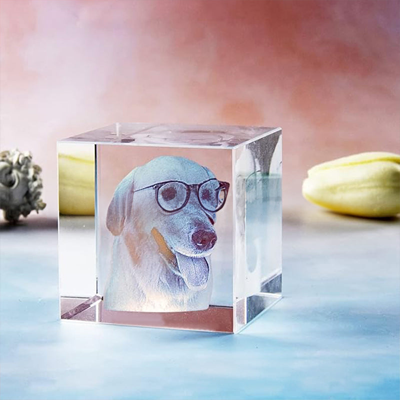 Custom Pet Crystal Lamp – Personalized 3D Photo Keepsake