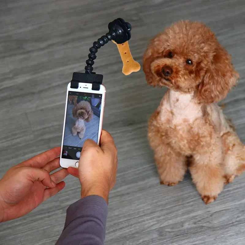 PawSnap Pet Selfie Lens & Camera Holder