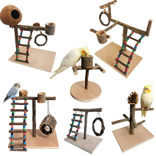 Solid Wood Parrot Training Station & Toy Shelf