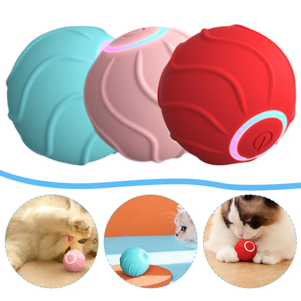 PurrPlay Smart Rolling Cat Ball